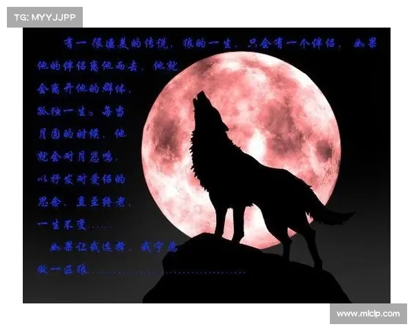 狼图腾手游 狼图腾手游