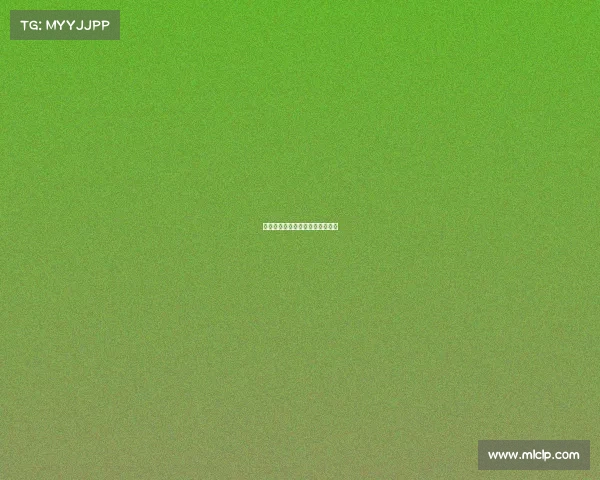 《椰岛激战：海南电竞热力全开》